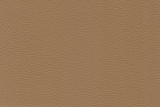 Daytona 04 beige