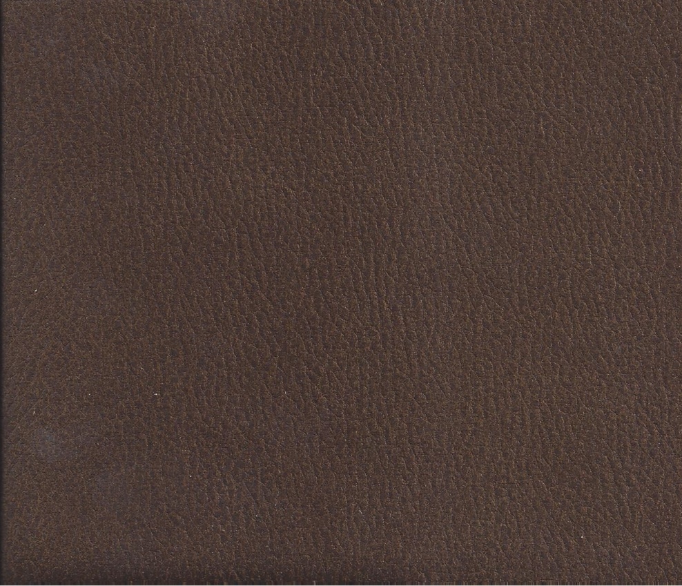 Bizonetta 05 choco