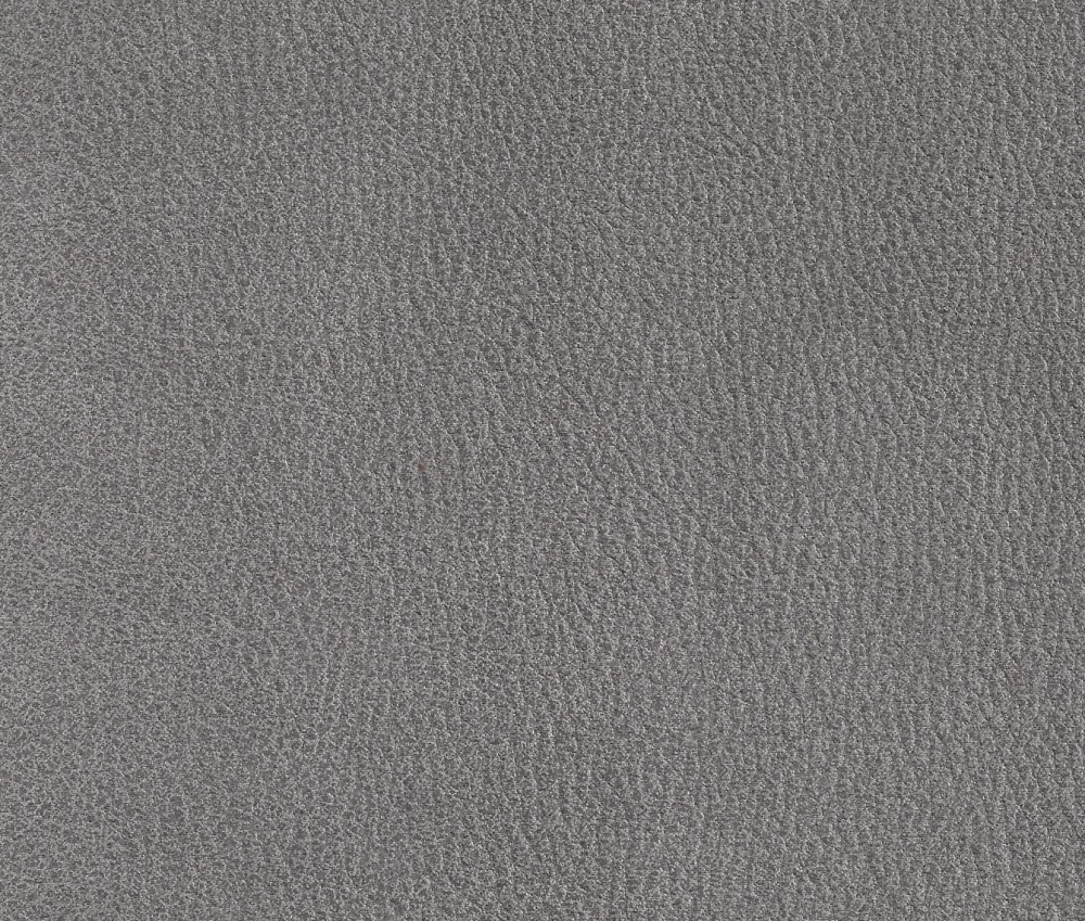 Bizonetta 11 silver