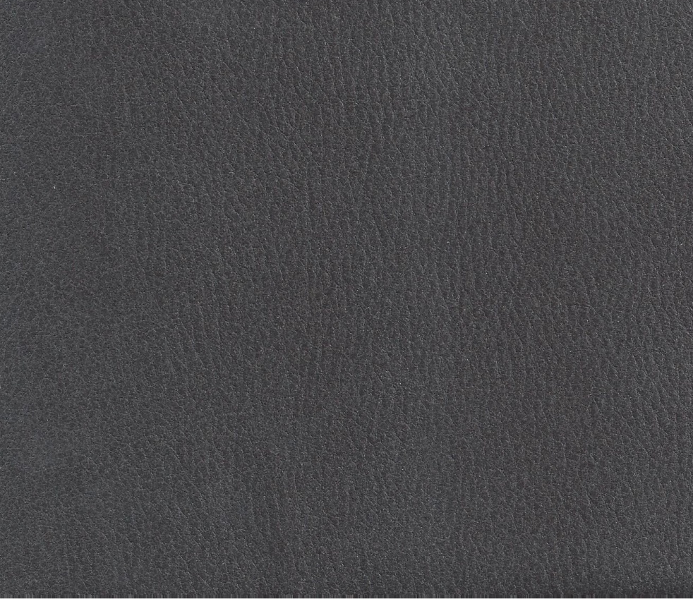 Bizonetta 12 steel