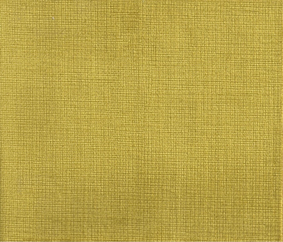 Daspe 14 yellow