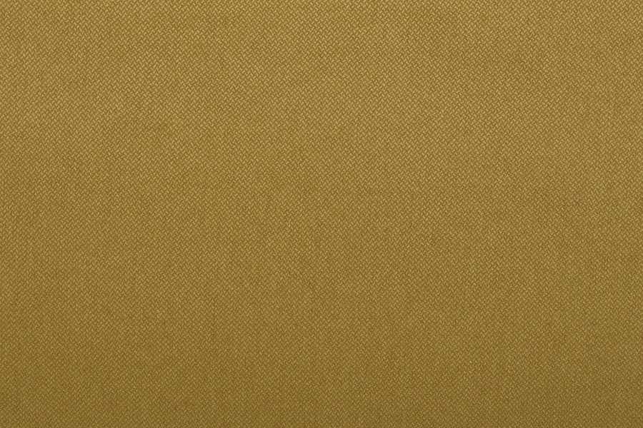 Megan WR 356 yellow