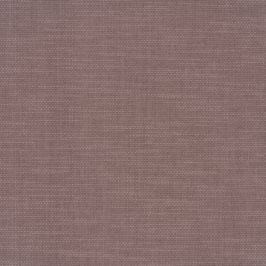 Terso EC 04 rose