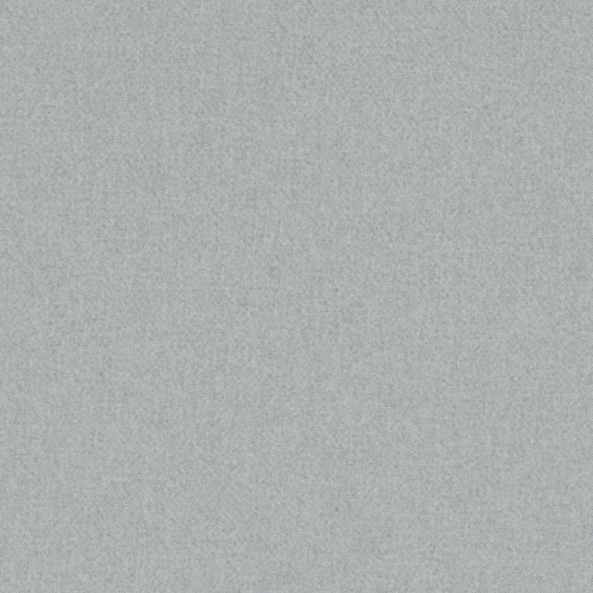 Diana FG 31 silver