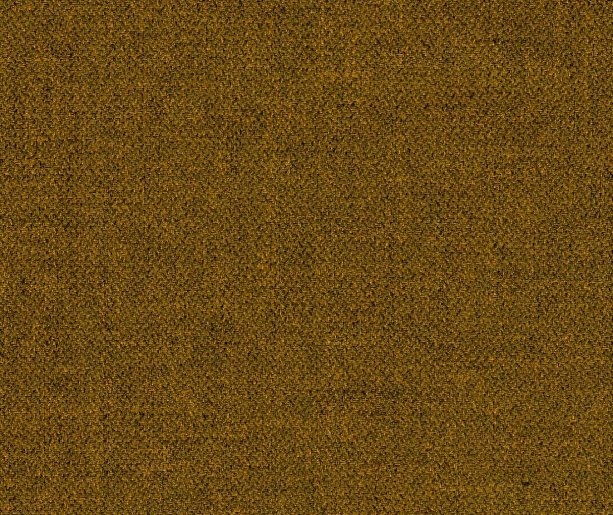 Gala 41 yellow