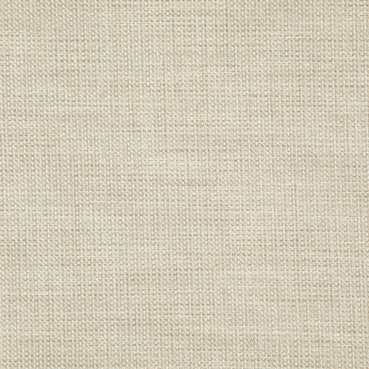 Gallant FG 08 marzipan