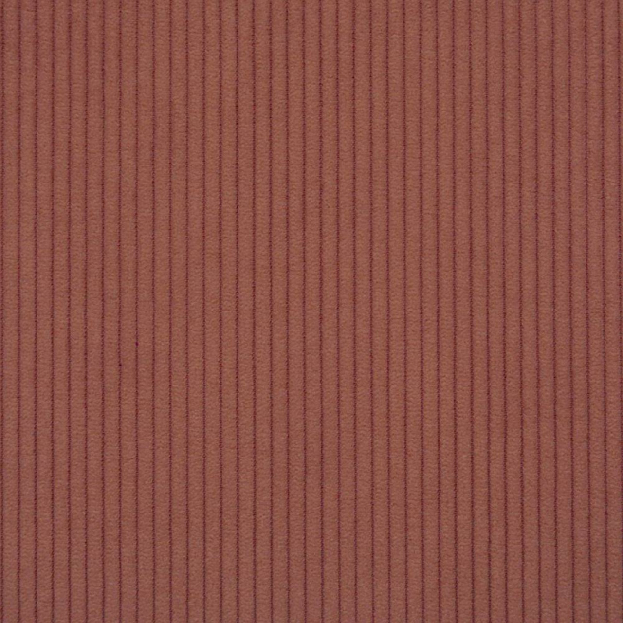 Cord 008
