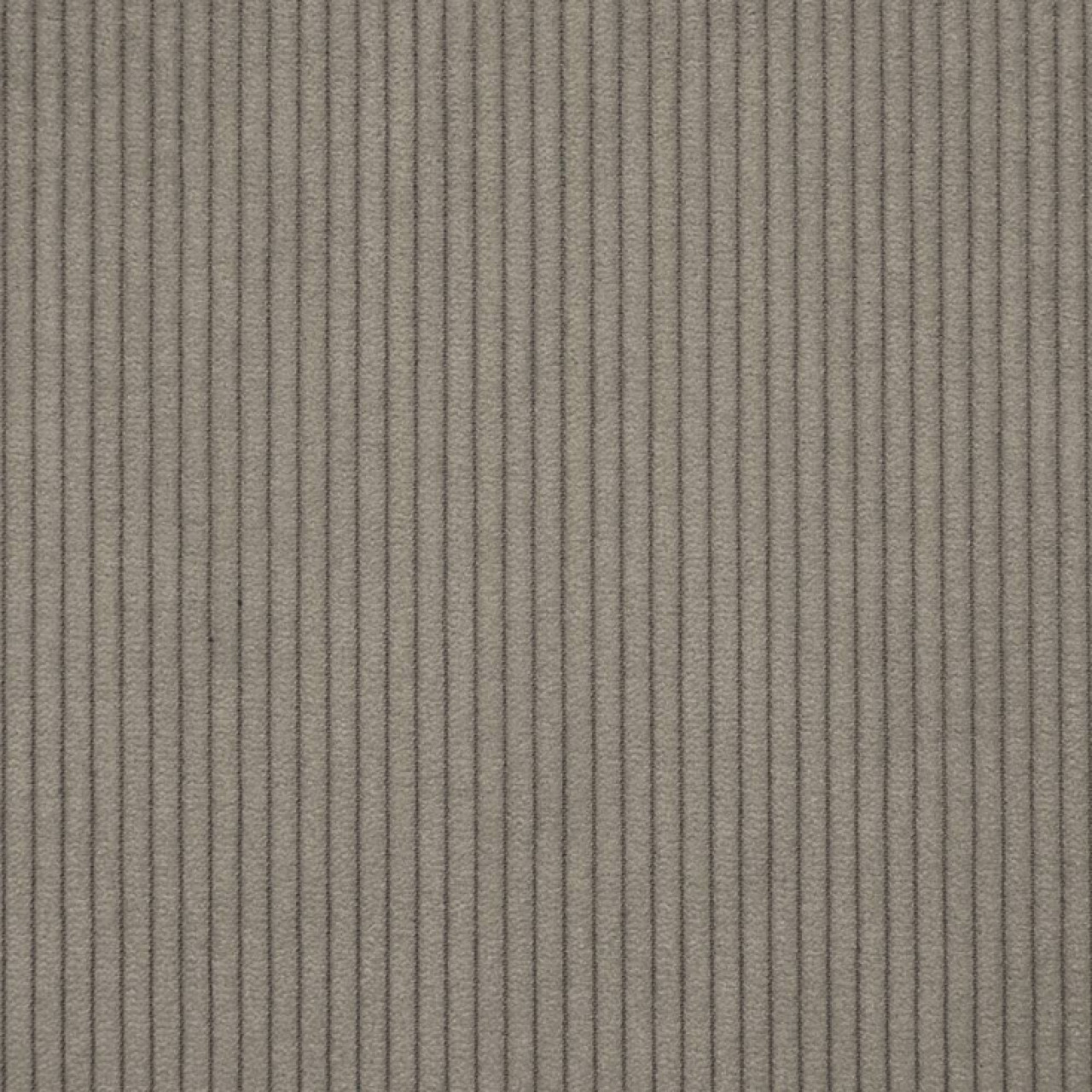Cord 018