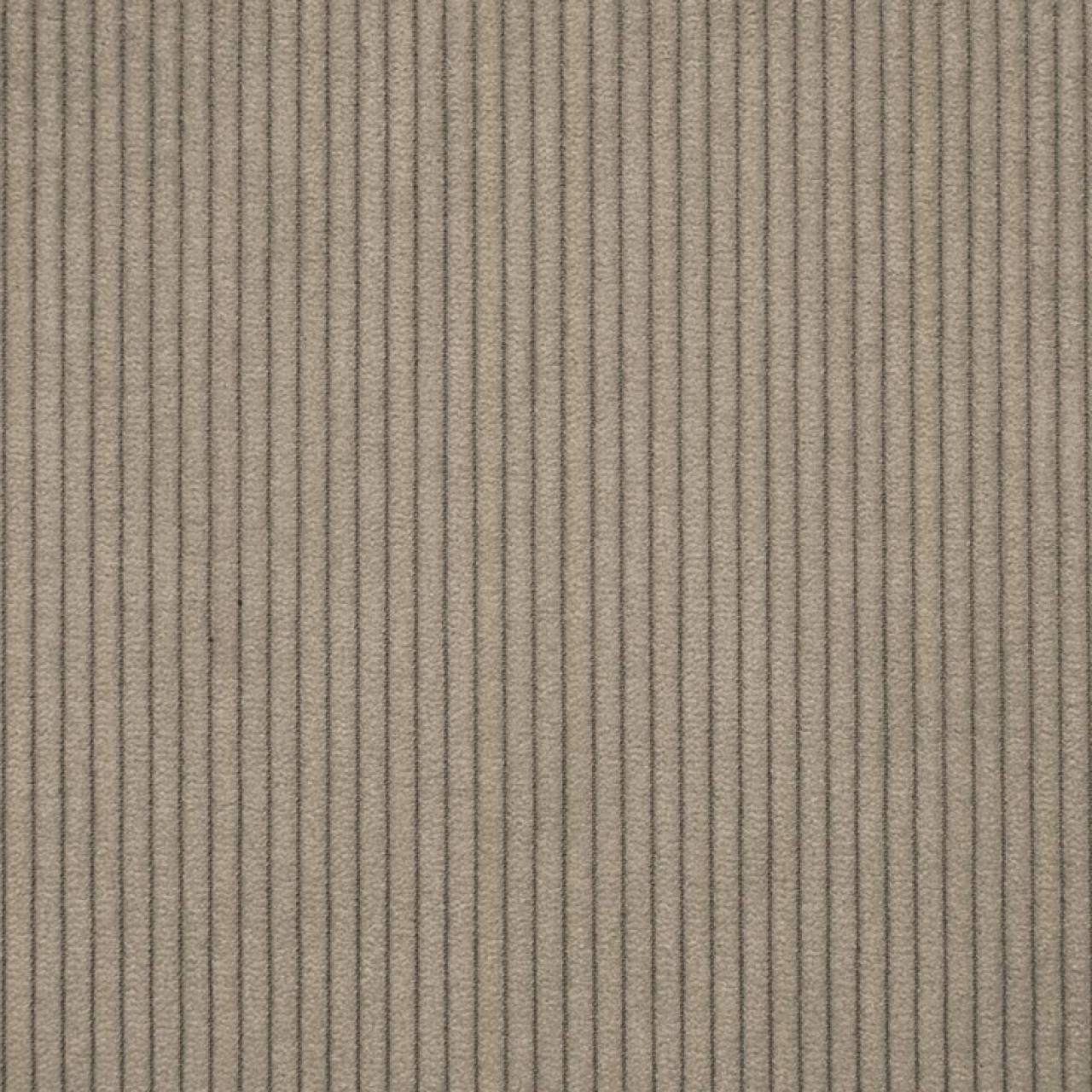 Cord 019