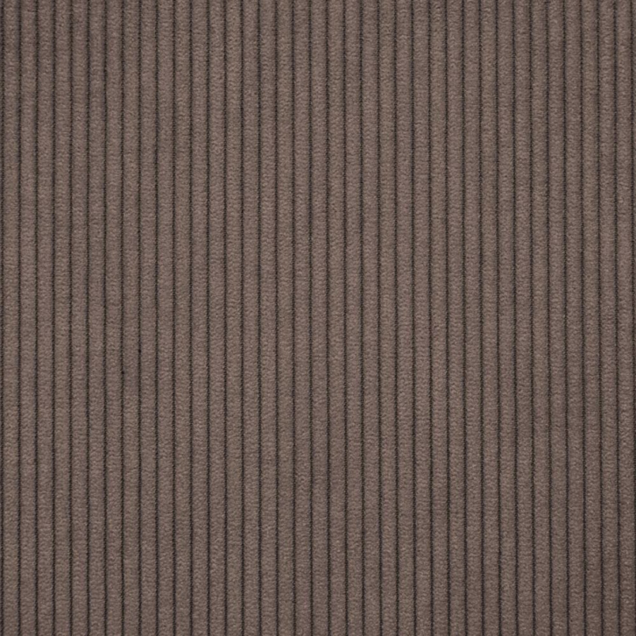 Cord 020 Taupe