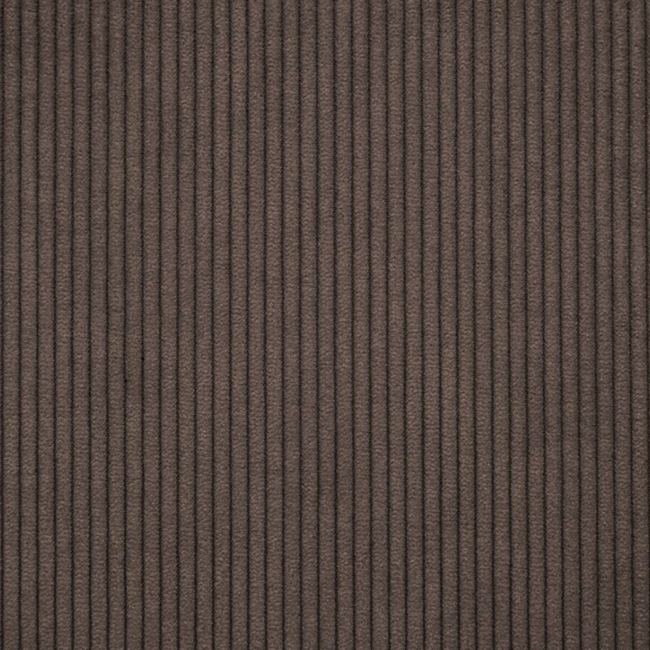Cord 021 Chocolate