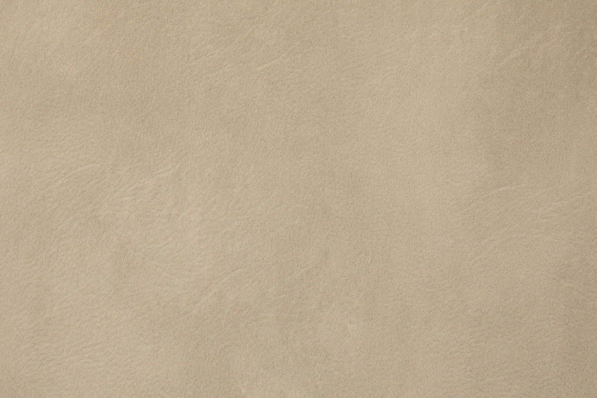 Skin WR 204 beige
