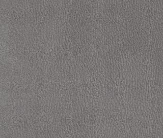 Bizonetta 11 silver