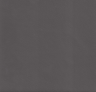 Viva 03 elephant