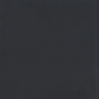 Viva 06 black