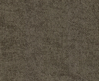 Lotus 05 taupe
