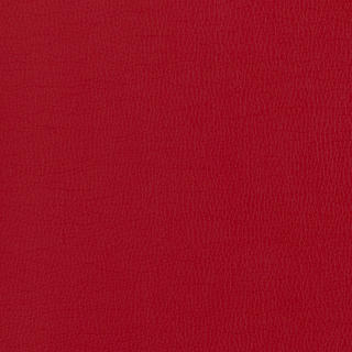 Brooklyn 07 red