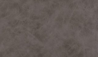 Tauro WR 8206 shitake