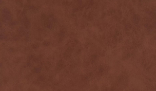 Tauro WR 8210 brandy