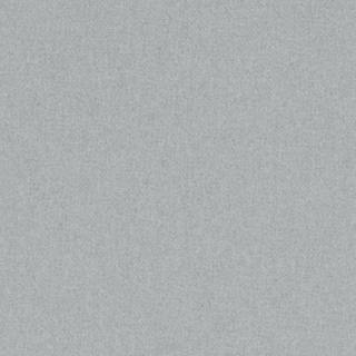 Diana FG 31 silver