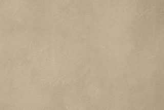 Skin WR 204 beige