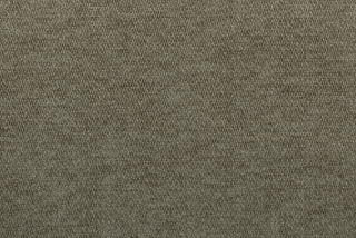 Yalyn WR 411 olive