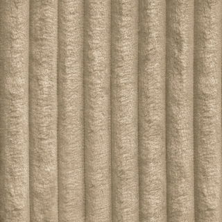 Home 003
